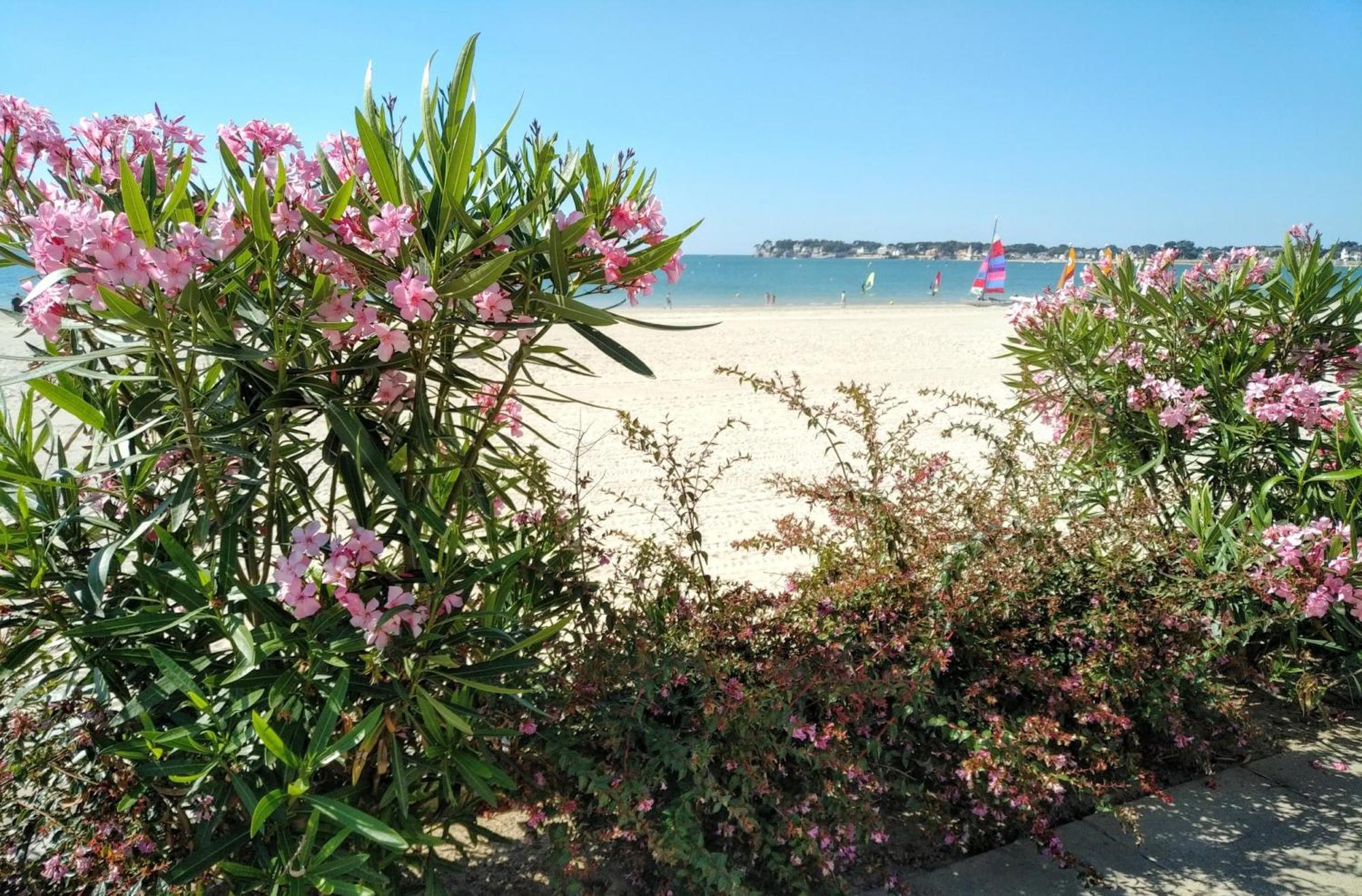 Le Capitole - Studio Plage Benoit Dans Residence Face Mer La Baule-Escoublac Ngoại thất bức ảnh
